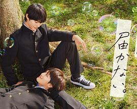 网站排名优化蜘蛛屯推广